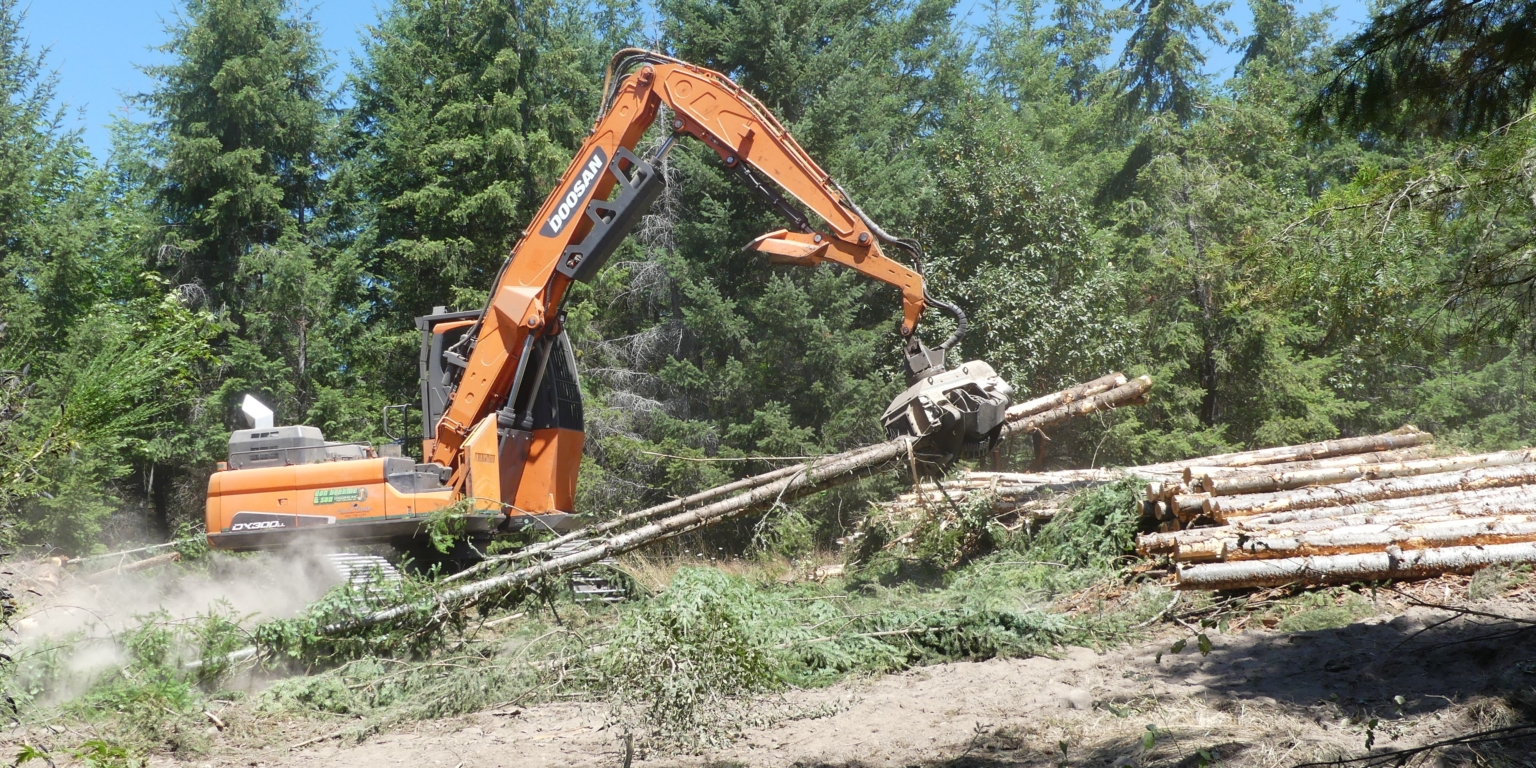 Mass Timber: Active Sustainable Logging Tour with NNRG - AIA Seattle