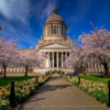 Events and Opportunities - AIA Seattle
